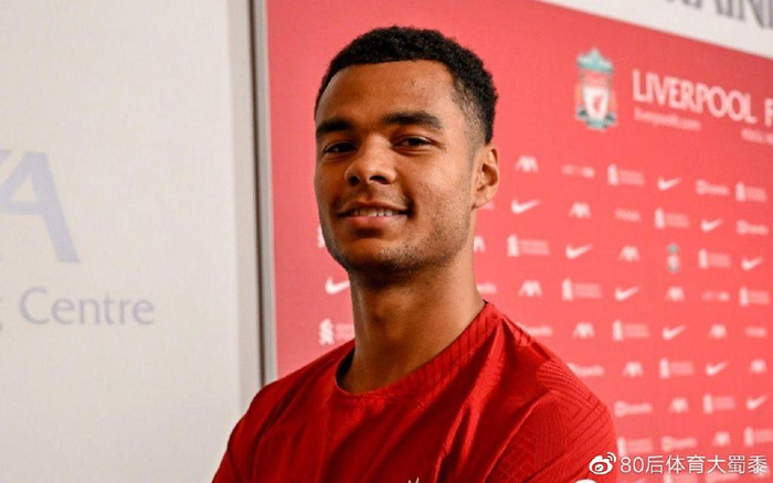 在今年夏窗 在今年夏窗