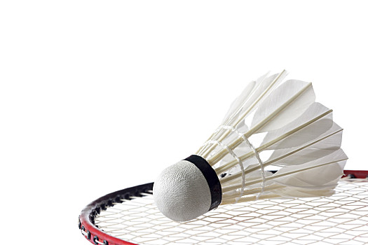 将具备巨大 将具备巨大